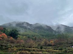 -塔川景区