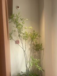 -苏彩·皮肤管理美甲美睫