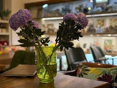-六月花园咖啡馆(中关村东路店)