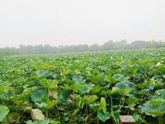 -云龙湖旅游景区