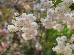 -洛阳市隋唐城遗址植物园
