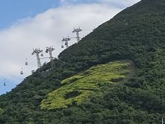 -香港海洋公园