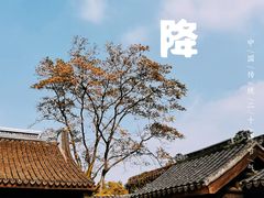 -惠山古镇·寄畅园