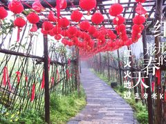 -武隆天坑寨子景区