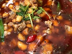 -院8里·少城记忆老川菜(宽窄巷子店)