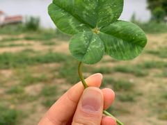 -南京市无想山景区