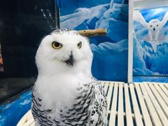 -成都浩海立方海洋公园