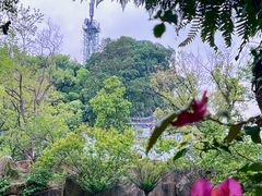 -乌山风景区