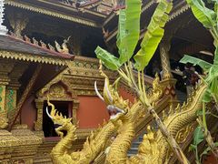 -西双版纳总佛寺