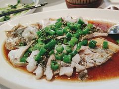 -老吉士酒家(丁香国际店)