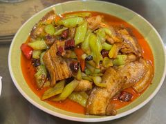 -杏花村水席楼·洛阳水席(老城十字街店)