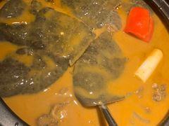 红煨甲鱼汤-潇湘甲鱼村(清河店)