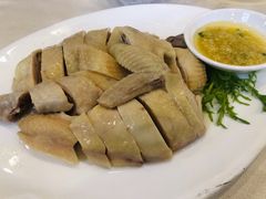 -清新鸡沙田乳鸽店(金融店)