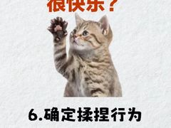 -喜多萌中农锦绣动物医院24H·猫科·牙科MRI·CT
