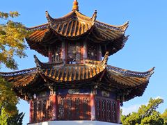 -昆明动物园