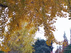 -西南交通大学九里校区-篮球场