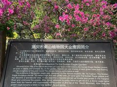 -大金鹰园