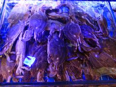 -渔民船说·北塘海鲜·天津菜·海肠捞饭(北塘古镇店)