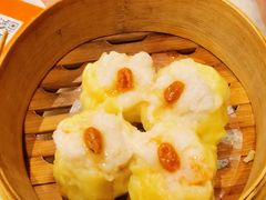 -金鼎轩(方庄天坛店)