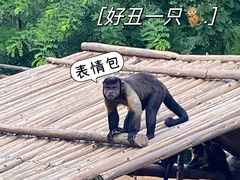 -济南野生动物世界