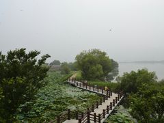 -长兴太湖图影湿地文化园