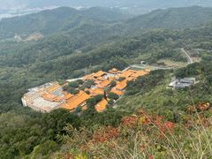 -深圳仙湖植物园