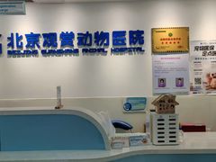 -北京观赏动物医院·24小时大型综合·猫专科·异宠专科
