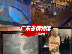 -广东省博物馆