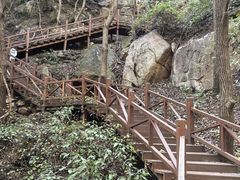 -大岭沟猕猴桃谷风景区