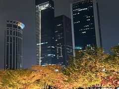 -西北湖绿化广场