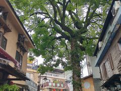 -杭州西湖风景名胜区-满觉陇四眼井