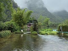 -靖西鹅泉风景区