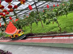 -南宫五洲植物乐园