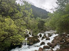-九寨沟-树正沟