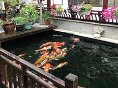 -华庭苑农家乐(旺山店)