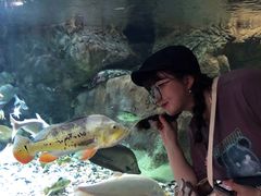 -多彩贵州城极地海洋世界