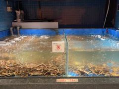 -东海怡品海鲜豆捞(星街坊店)