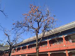 -北京石刻艺术博物馆(五塔寺)
