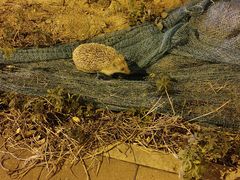 -天津盘山风景名胜区