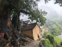 -杨家堂村