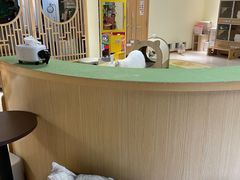 -猫和宫(六道口店)