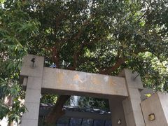 -香港大学