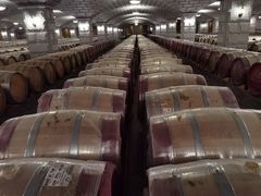 -紫轩葡萄酒庄园