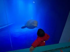 -大连圣亚海洋世界