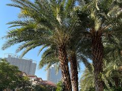 -碧桂园十里银滩