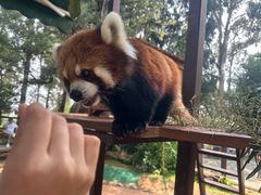 -云南野生动物园