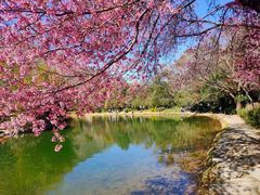 -蝴蝶泉公园