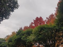-广西师范大学(育才校区)