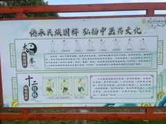 -广西壮族自治区药用植物园