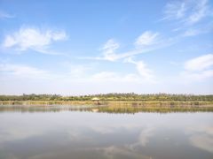 -西青郊野公园